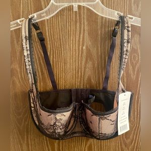 Padded Underwire Bra